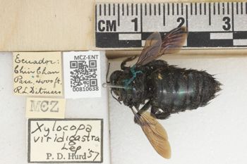 Media type: image;   Entomology 810638 Aspect: labels